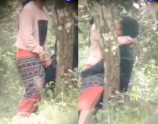 စဖုတ်ယားလို့တက်ပြီးခွတာ ဆော်ကြီးကိုက ထန်တာ