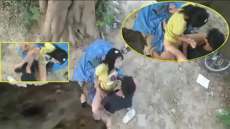 အသီးခူးတုန်း အပင်အောက်လာစားတဲ့ အတွဲလေး လမ်းကြုံချောင်းရိုက်