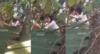 အပင်လေးကွယ်ပီး တောထဲ ခိုးလိုးနေတဲ့ အတွဲလေး ချောင်းရိုက်